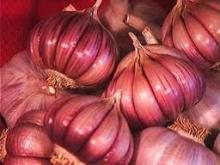red garlic