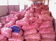 bulk red onion