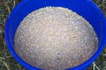 layer   chicken  feed
