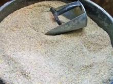  broiler   chicken  feed