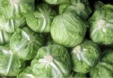 Fresh Frozen cabbages