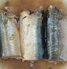 canned mackerel fish