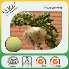 maca extract