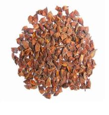 Broken Star Anise
