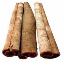  Cassia   whole 