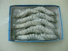 Black Tiger Shrimp HOSO