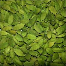  Green   Cardamom 