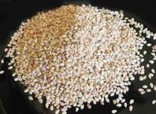 Hulled Seasame seeds