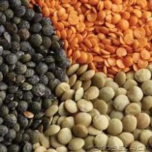 Red/yellow lentils