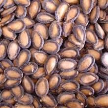 watermelon seeds