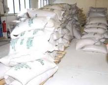  maize   meal 
