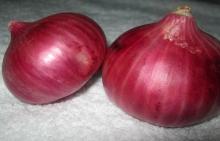 Fresh Red / Yellow Onions
