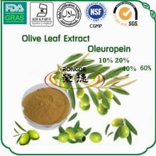  Factory  supply natural oleauropein  olive  leaf extract