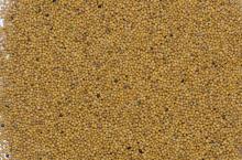  Yellow   mustard 