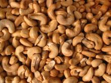 Cashew Nuts for Food Industries