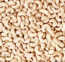 High Quality Cashew Nuts