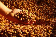 WHOLE ALMONDS