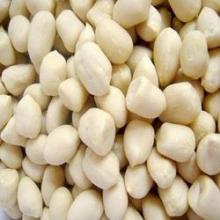 Blanched Peanut Kernels