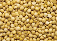 Style 2 Macademia Nuts