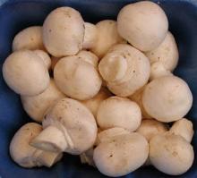 IQF mushroom and frozen Mushroom