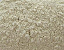New Crop Garlic Powder