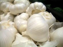 Fresh garlic white/Normal white garlic