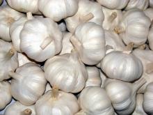 2014 Fresh Normal White Garlic