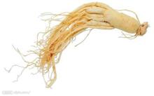 Panax ginseng extract