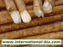 Burdock (root) Extract