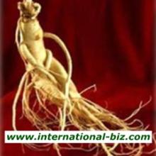 Panax Ginseng Root Extract