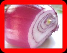 ONION FRESH