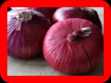 ONION