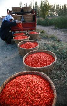 FineSky high-quality dried goji wolfberry from China
