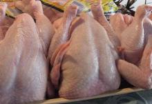 HALAL GRADE A BRAZILIAN FROZEN WHOLE CHICKEN