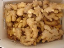  Good  quality  fresh   Ginger 