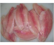 Frozen Tilapia Fillet
