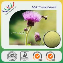 milk thistle extract