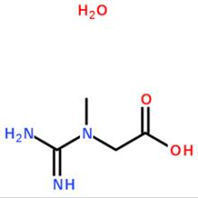  Creatine  Monohydrate/CAS:6020-87-7