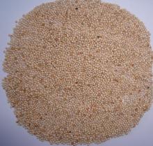 White  Broom   Corn   Millet 