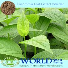 Eucommia Leaf Extract/Eucommia Leaf Extract Powder/ Eucommia Extract Powder Chlorogenic Acid