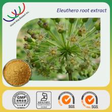 eleuthero root extract