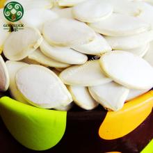 9cm/10cm/11cm/13cm Snow white pumpkin seeds
