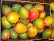 Fresh mango
