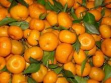 fresh mandarin orange