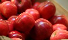 75% Fuji Apple Fruit