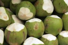  Fresh   Coconut 