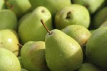 Fresh Pear/AVOCADOS