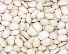 Lima Bean