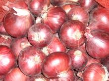 Fresh onions