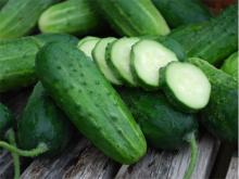 Green Cucumber
